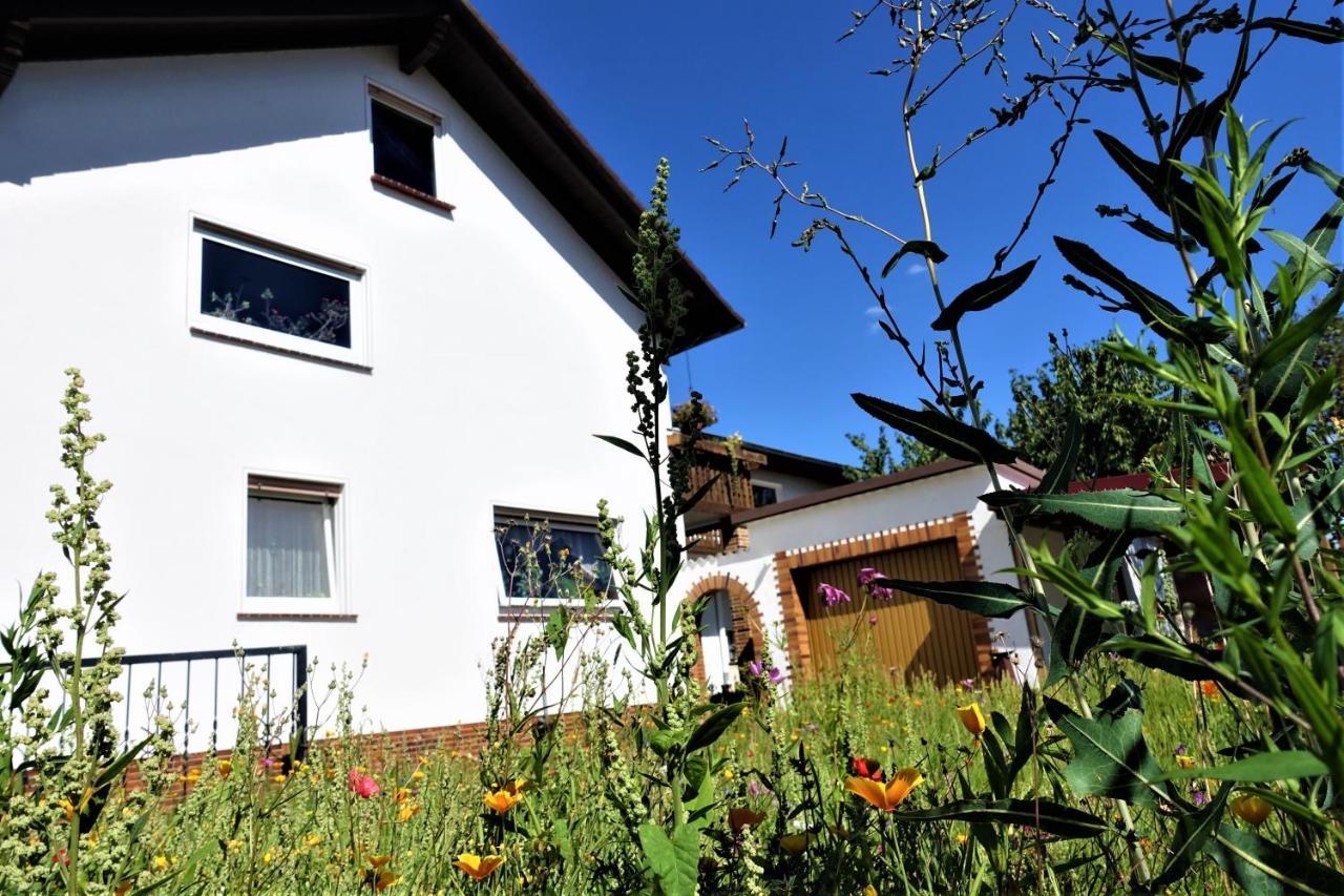 Ferienwohnung-M8 Im Schoenen Werratal Jestadt Exteriér fotografie